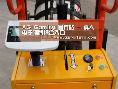 AGGaming案例展示三