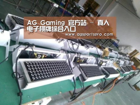 AGGaming案例展示一