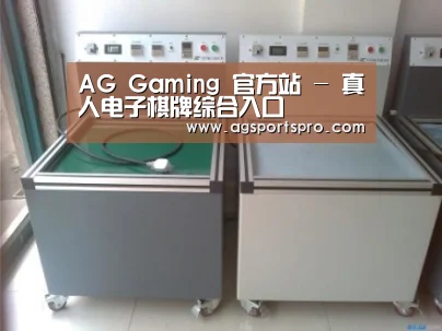 AGGaming案例展示二