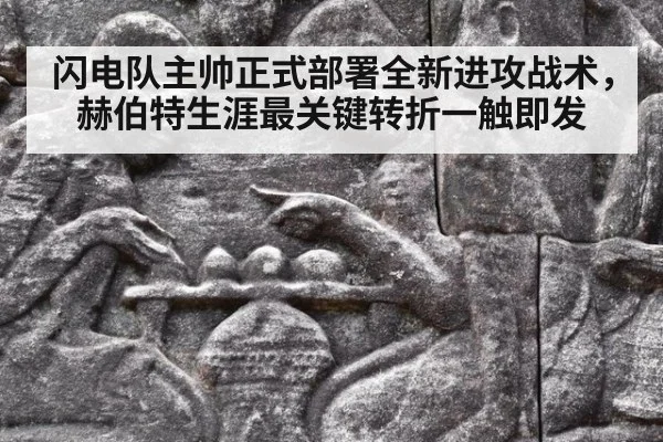 闪电队主帅正式部署全新进攻战术，赫伯特生涯最关键转折一触即发